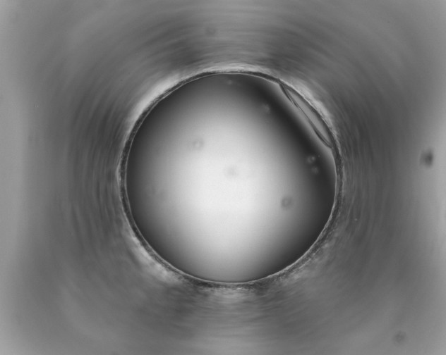 X0000090501189200707272355