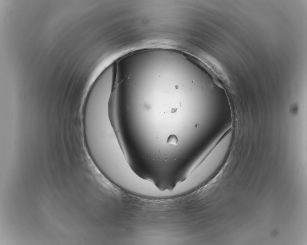 X0000090501192200707272355