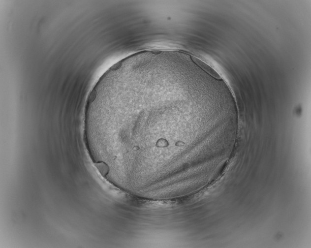 X0000090501195200707272355