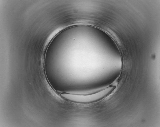 X0000090501196200707272355