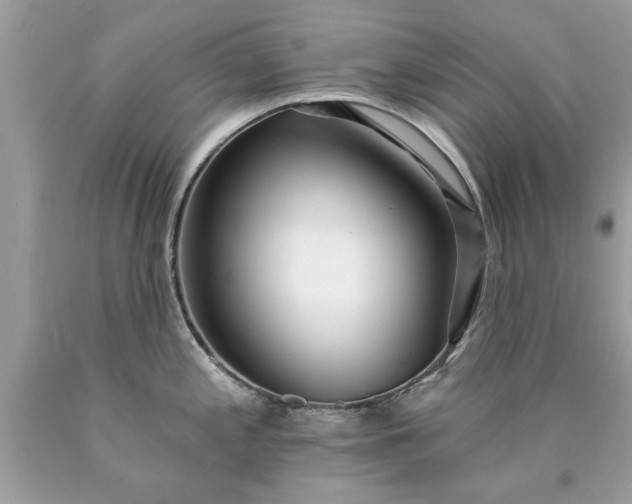 X0000090501197200707272355