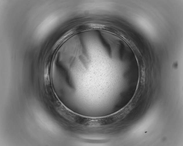 X0000090501198200707272355