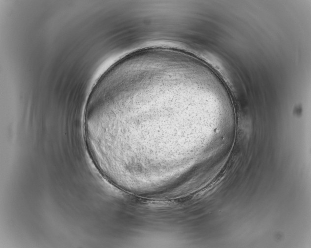 X0000090501199200707272355