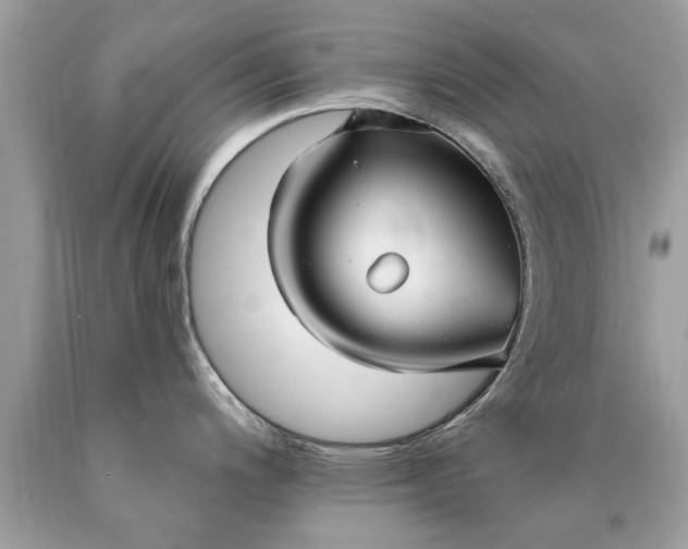 X0000090501200200707272355