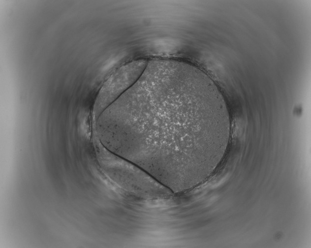 X0000090501202200707272354