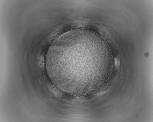 X0000090501203200707272354