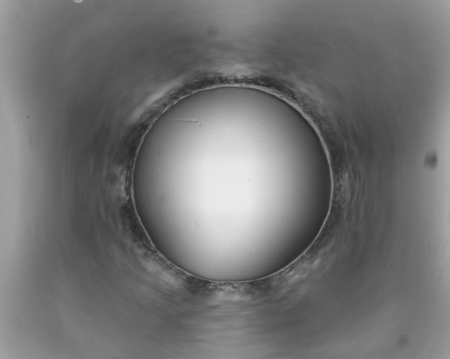 X0000090501205200707272354