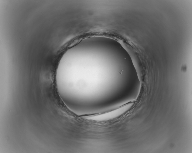 X0000090501206200707272354