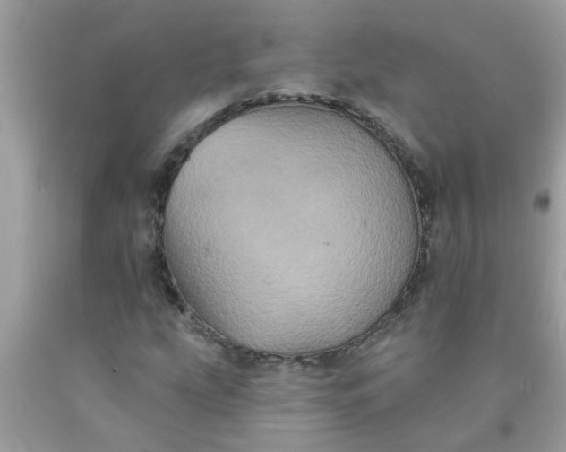 X0000090501207200707272355