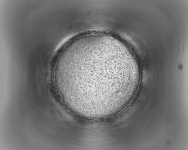 X0000090501208200707272355