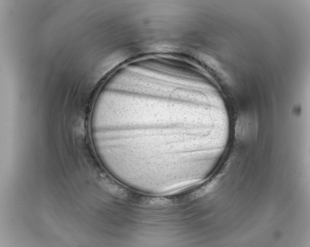 X0000090501209200707272355