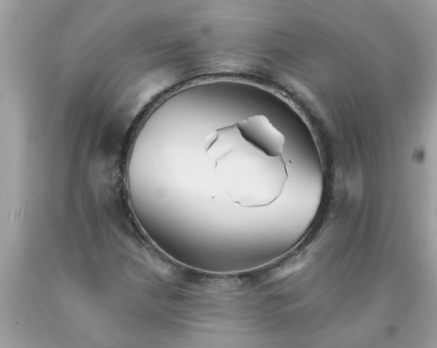 X0000090501210200707272355