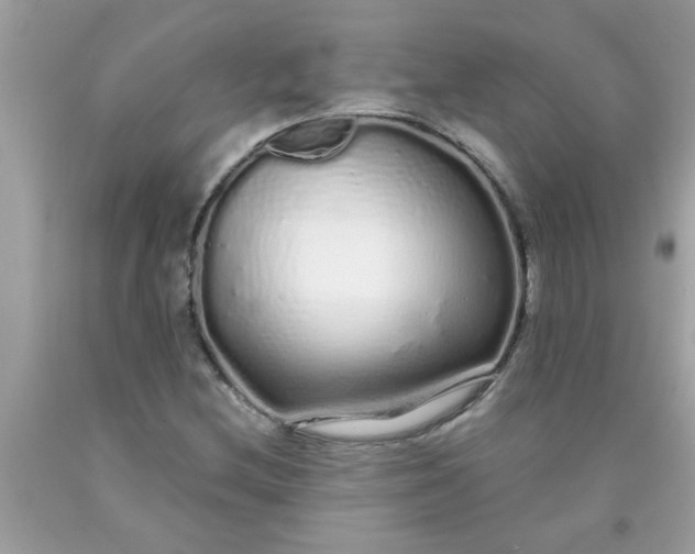 X0000090501212200707272355