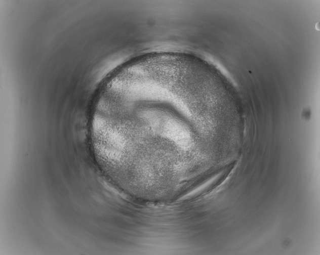 X0000090501213200707272355