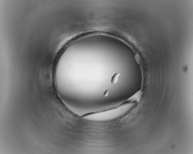 X0000090501214200707272355