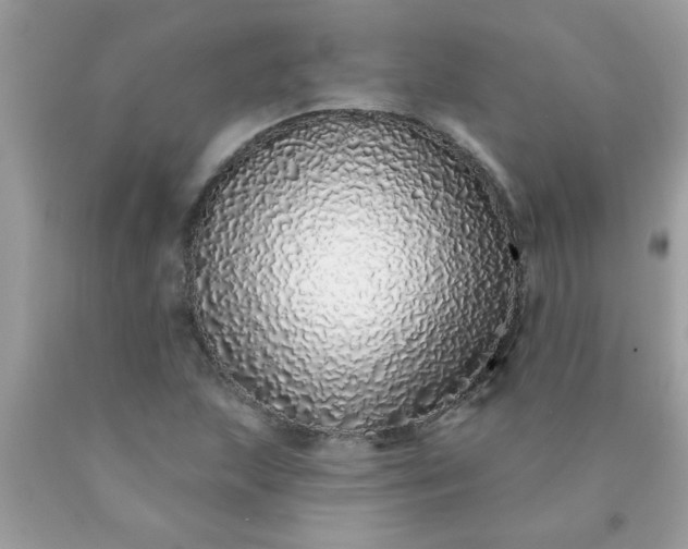 X0000090501215200707272355