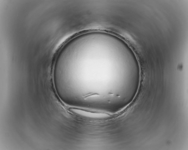 X0000090501216200707272355