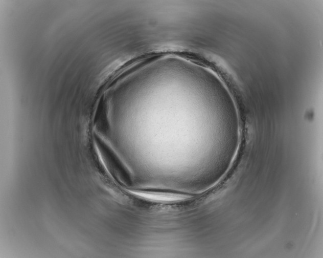 X0000090501217200707272355