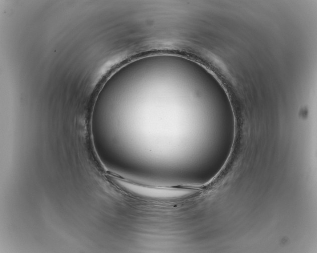 X0000090501218200707272355