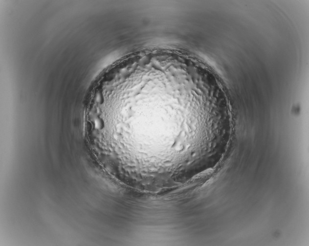 X0000090501219200707272355