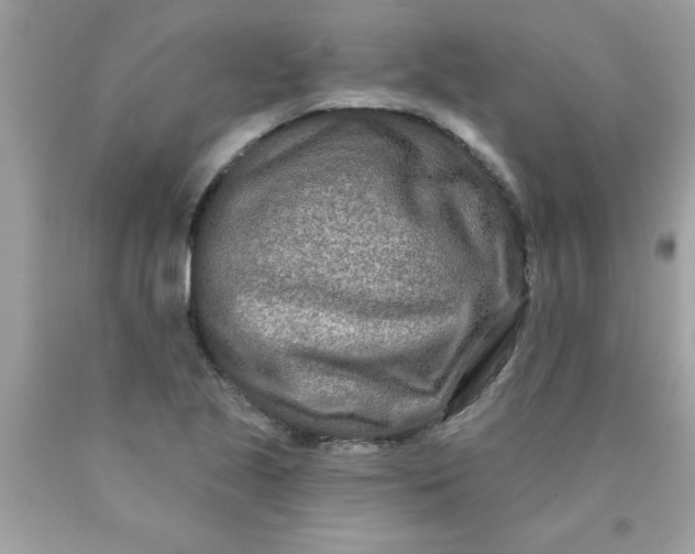 X0000090501221200707272355