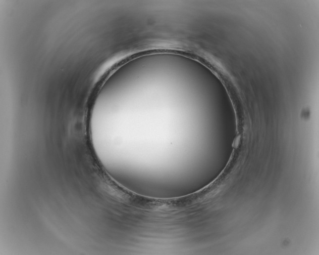 X0000090501222200707272355