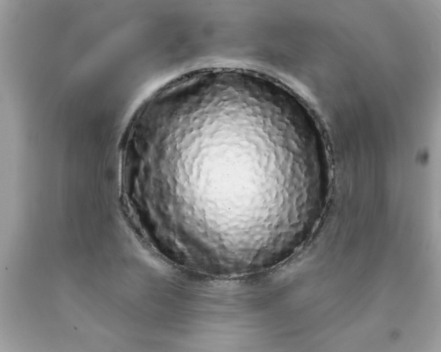 X0000090501223200707272355