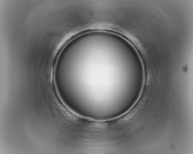 X0000090501224200707272355