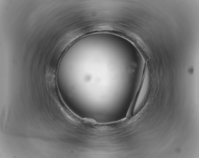 X0000090501225200707272355