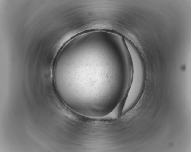 X0000090501226200707272355