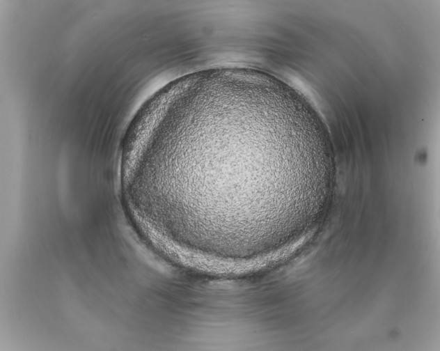 X0000090501227200707272355