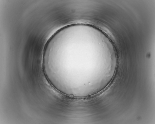 X0000090501228200707272355