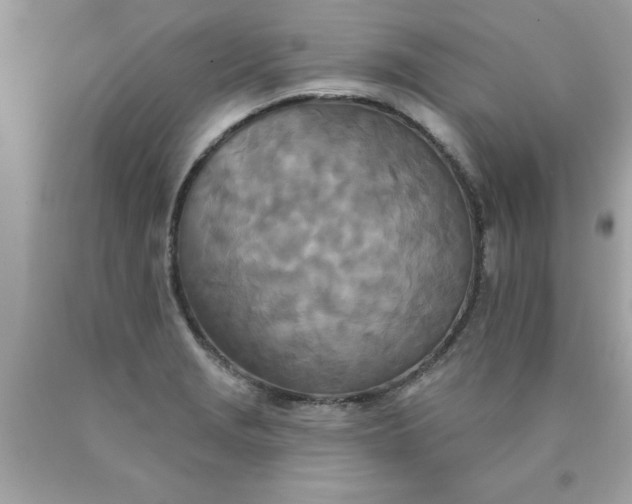 X0000090501229200707272355