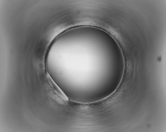 X0000090501230200707272355