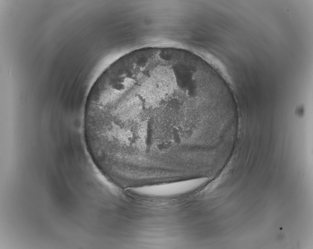 X0000090501231200707272355