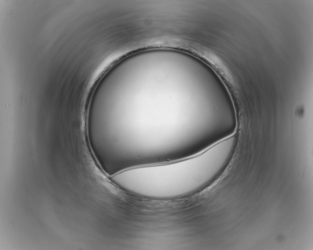 X0000090501232200707272355