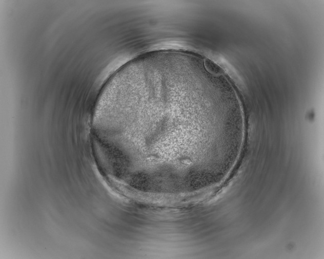 X0000090501233200707272355