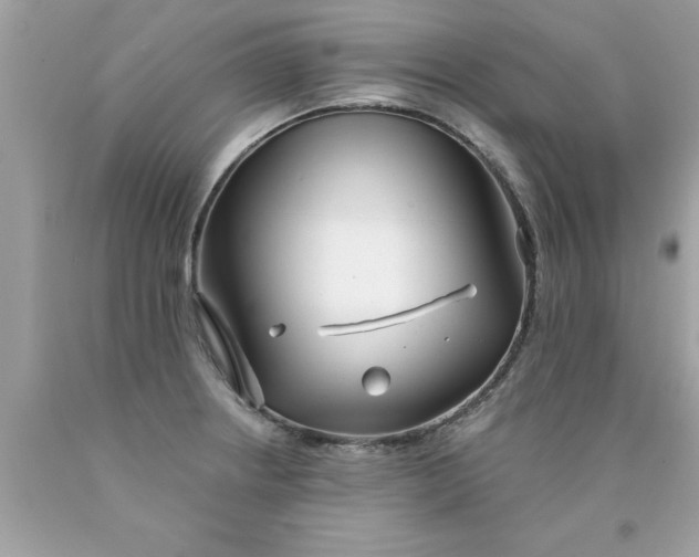 X0000090501234200707272355