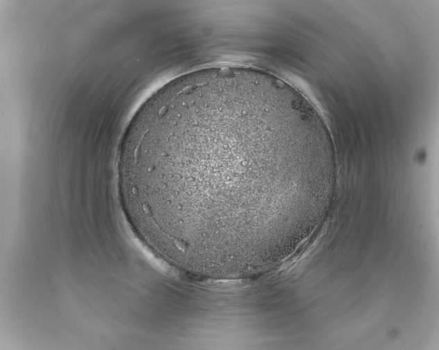 X0000090501235200707272355