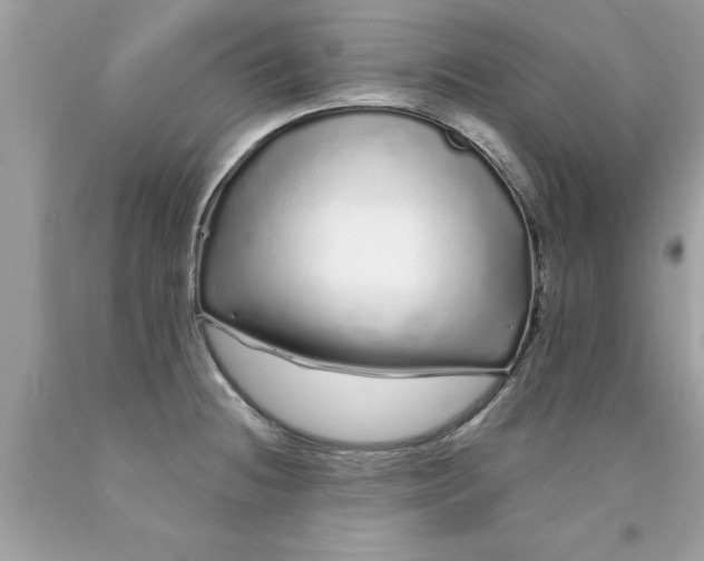 X0000090501236200707272355