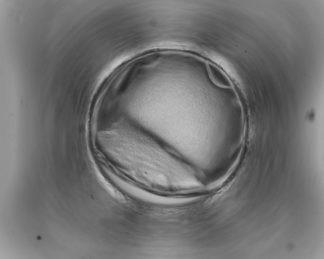 X0000090501237200707272355