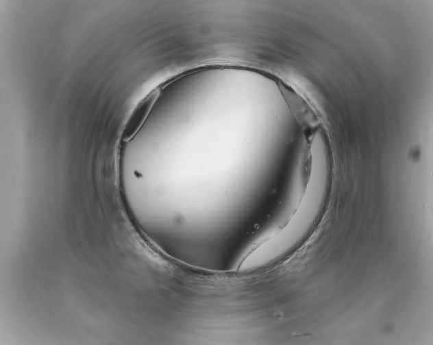 X0000090501238200707272355