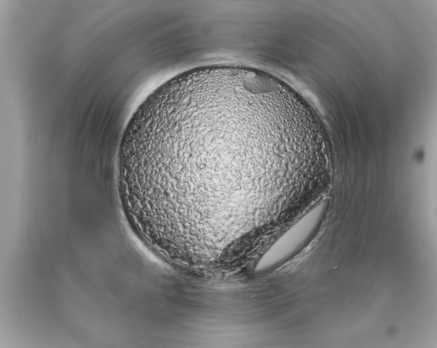 X0000090501239200707272355