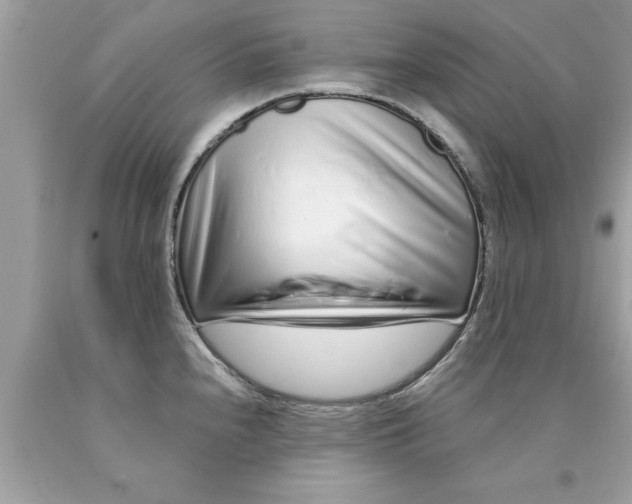 X0000090501240200707272355