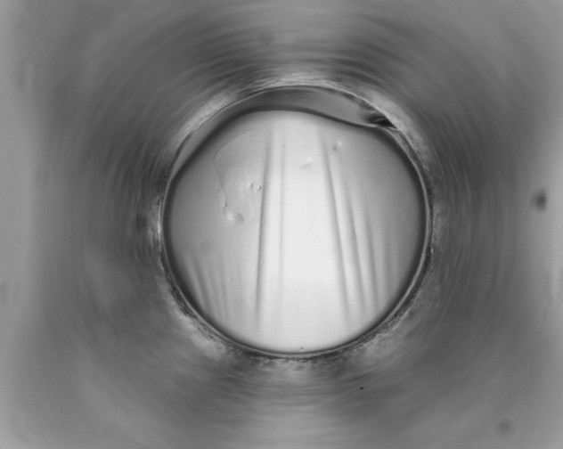 X0000090501241200707272355