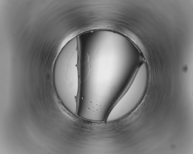 X0000090501242200707272355