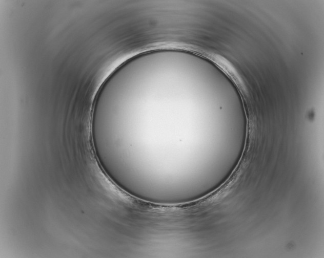 X0000090501244200707272355