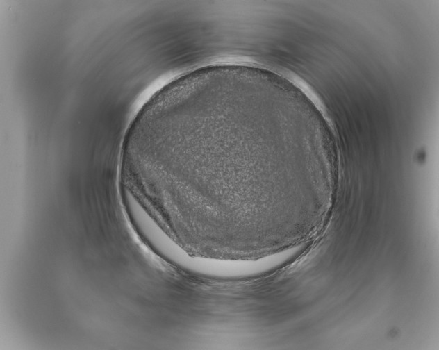 X0000090501245200707272355