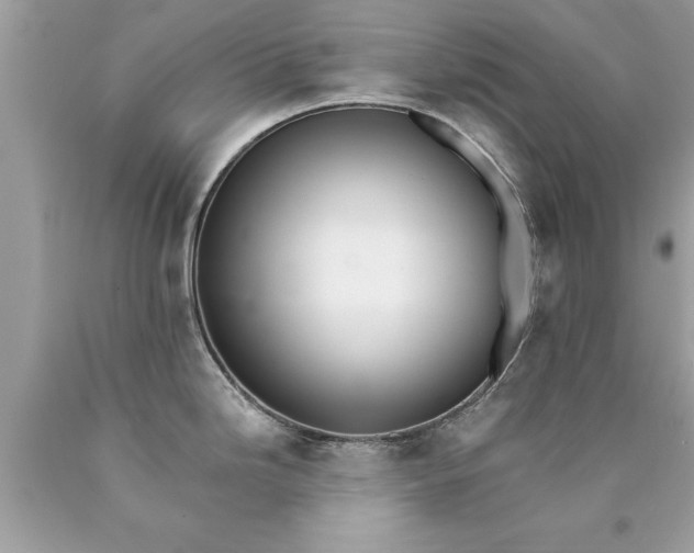 X0000090501246200707272355