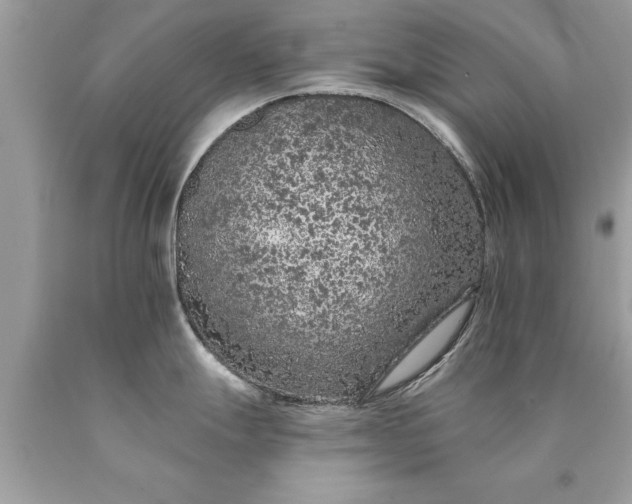 X0000090501247200707272355